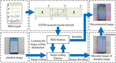 Global brain analysis of minor hallucinations in Parkinson’s disease using EEG and MRI data